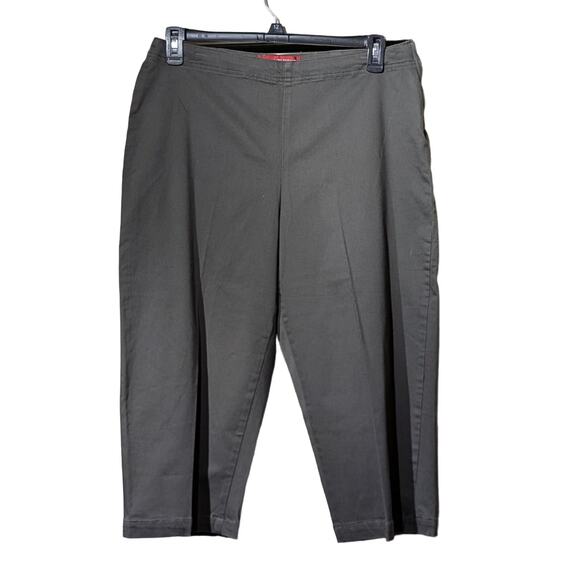 Gloria Vanderbilt Loden Side Zip No Waistband Flat Front Pedal Pusher Pant Sz 14 - Picture 1 of 11